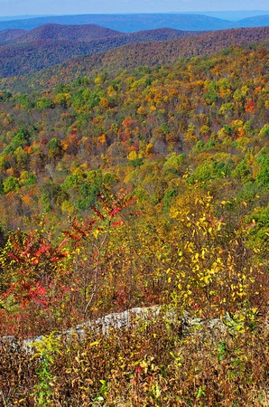 The Mountains In Fall