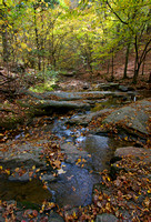 The Creek In Fall