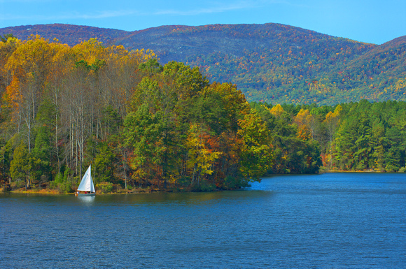 Sailing Through Fall