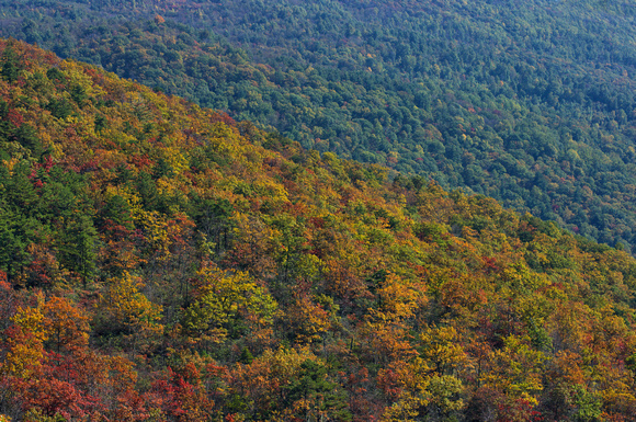 Fall Mountainside