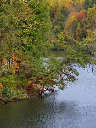 Lakeside Fall
