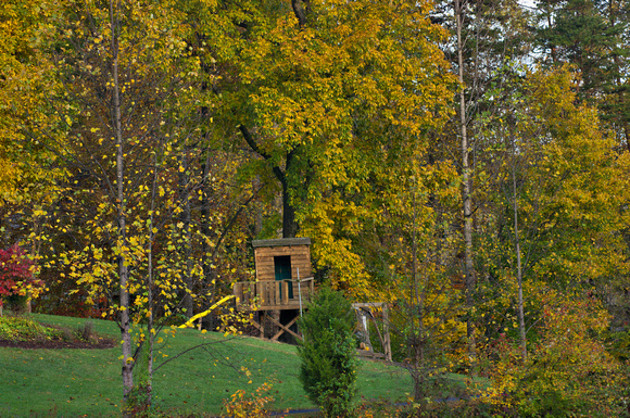 Fall Treehouse